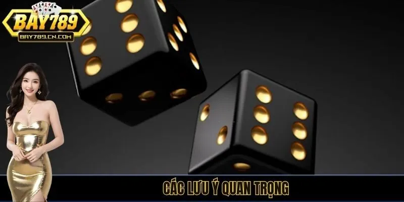 Các lưu ý quan trọng
